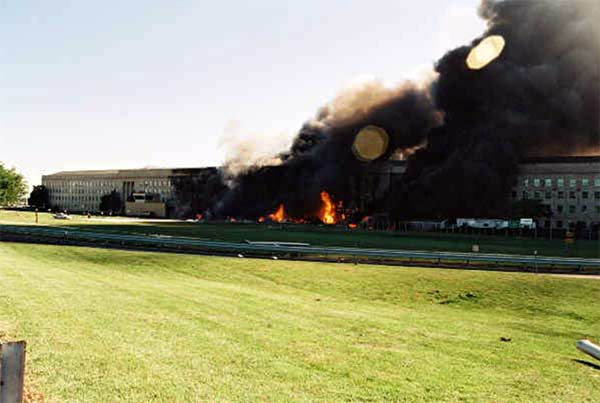 Daryl Donley Gallery - Image 5