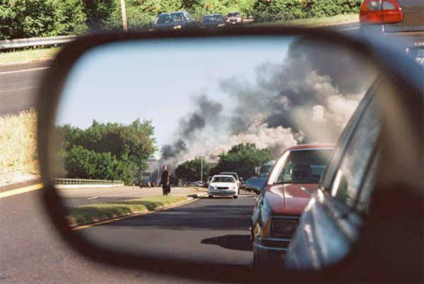 Daryl Donley Gallery - Image 23