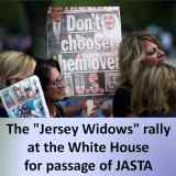 Post-election JASTA Update and Reality Check